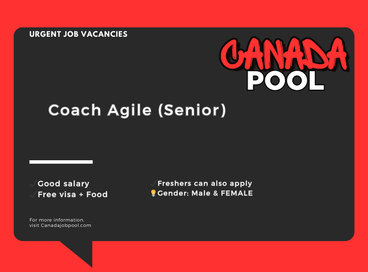 Coach Agile (Senior)