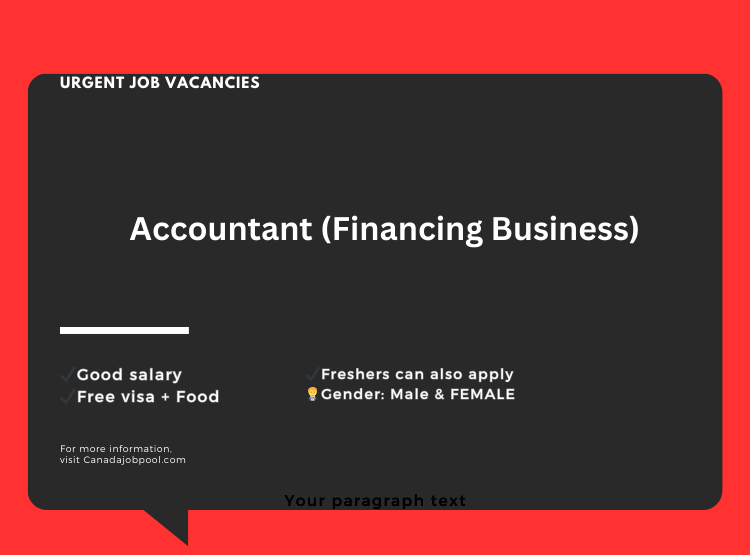 Accountant (Financing Business)