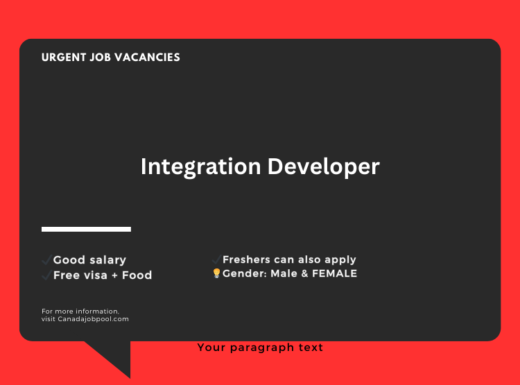 Integration Developer