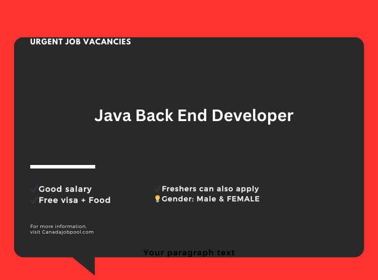 Java Back End Developer