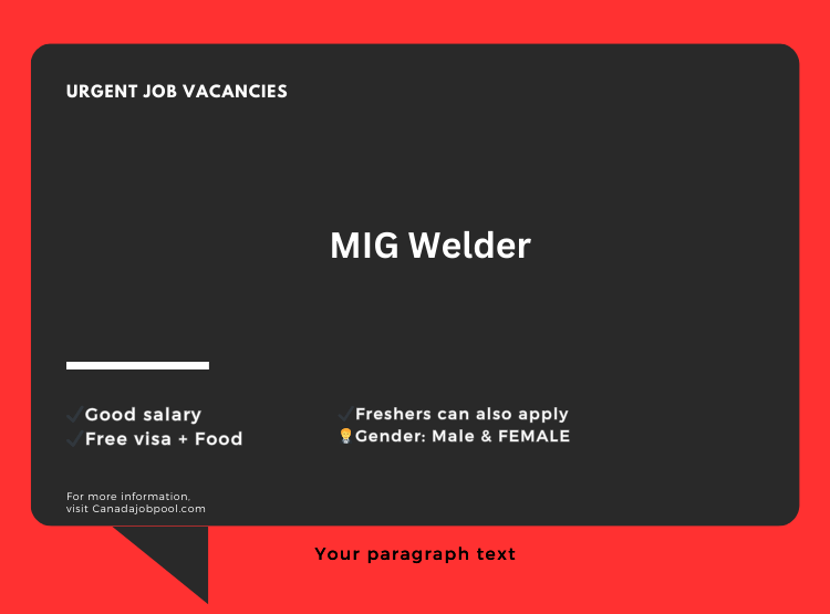 MIG Welder