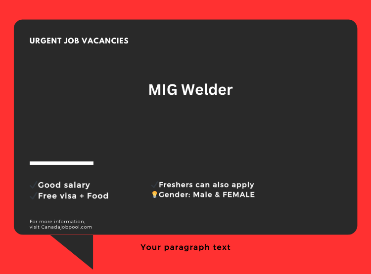 MIG Welder