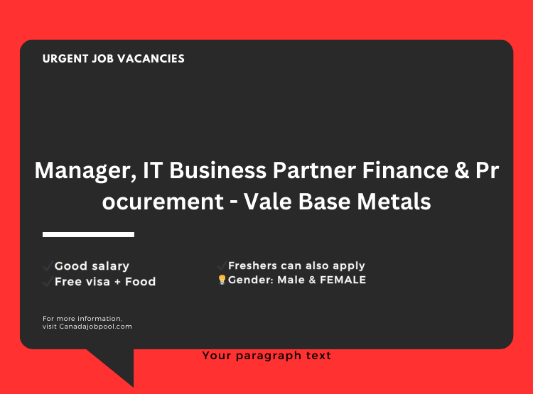 Manager, IT Business Partner Finance & Procurement - Vale Base Metals