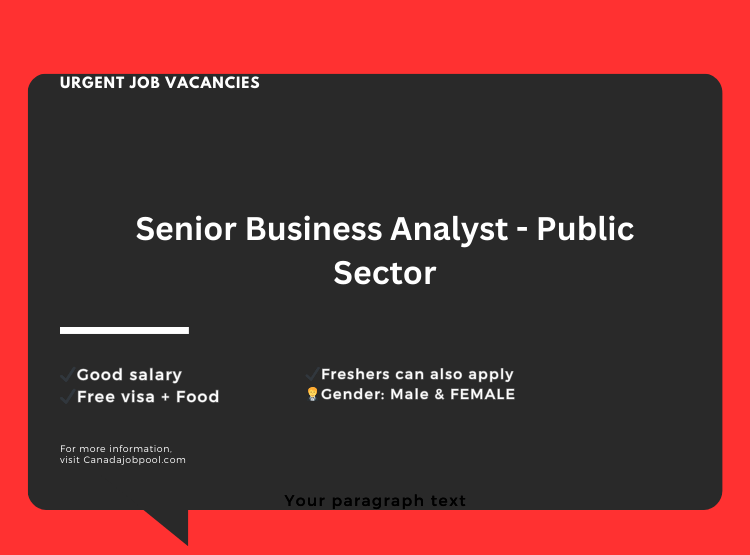 Senior Business Analyst - Public Sector