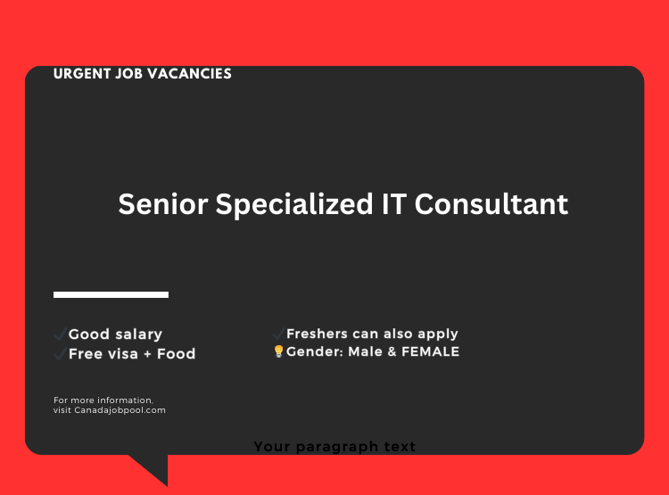 Senior Specialized IT Consultant