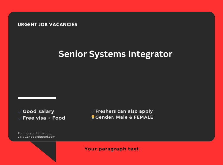 Senior Systems Integrator