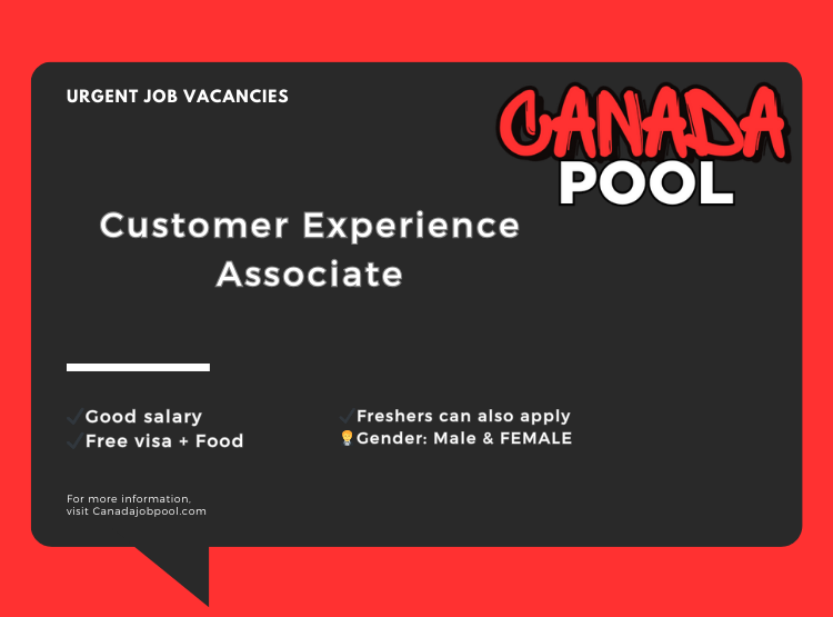 Customer Experience Associate