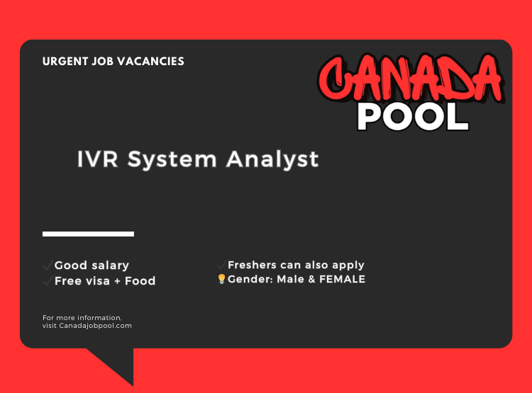 IVR System Analyst